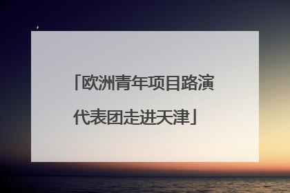 欧洲青年项目路演代表团走进天津