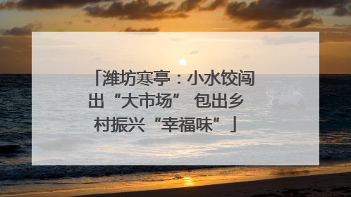 潍坊寒亭：小水饺闯出“大市场” 包出乡村振兴“幸福味”