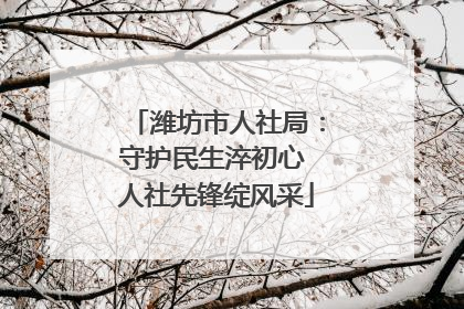潍坊市人社局：守护民生淬初心 人社先锋绽风采