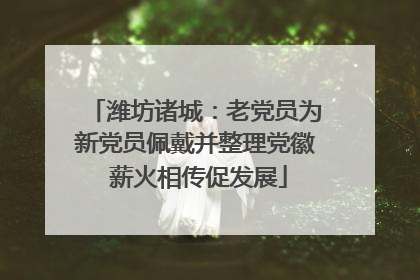 潍坊诸城：老党员为新党员佩戴并整理党徽 薪火相传促发展