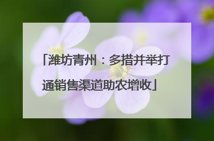 潍坊青州：多措并举打通销售渠道助农增收