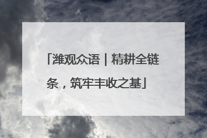 潍观众语｜精耕全链条，筑牢丰收之基