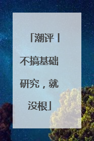 潮评丨不搞基础研究，就没根