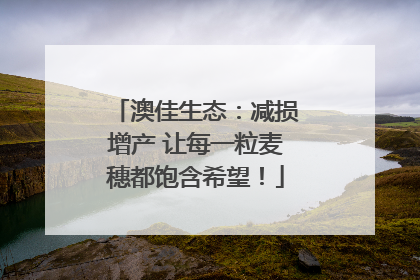 澳佳生态：减损增产 让每一粒麦穗都饱含希望！