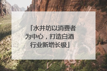 水井坊以消费者为中心，打造白酒行业新增长极