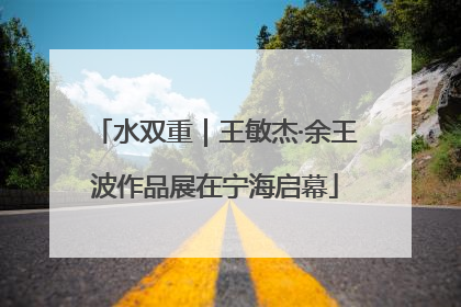 水双重｜王敏杰·余王波作品展在宁海启幕