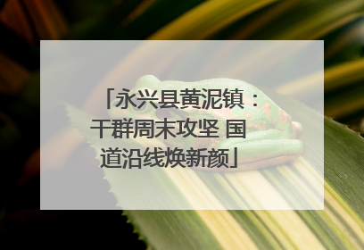 永兴县黄泥镇：干群周末攻坚 国道沿线焕新颜