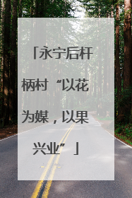 永宁后杆柄村“以花为媒，以果兴业”