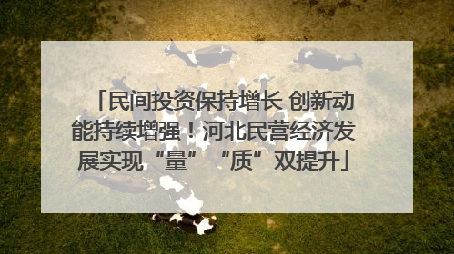 民间投资保持增长 创新动能持续增强！河北民营经济发展实现“量”“质”双提升