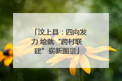 汶上县：四向发力 绘就“跨村联建”崭新图景