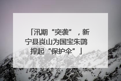 汛期“突袭”，新宁县崀山为国宝朱鹮撑起“保护伞”