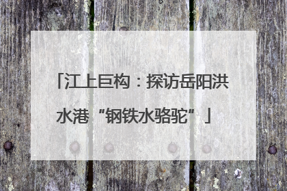 江上巨构：探访岳阳洪水港“钢铁水骆驼”