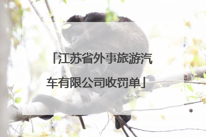江苏省外事旅游汽车有限公司收罚单