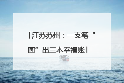 江苏苏州：一支笔“画”出三本幸福账