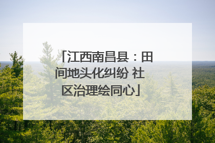 江西南昌县：田间地头化纠纷 社区治理绘同心