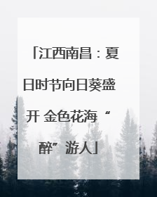 江西南昌：夏日时节向日葵盛开 金色花海“醉”游人