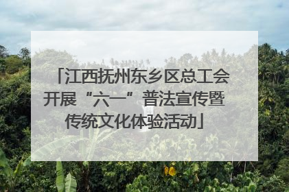 江西抚州东乡区总工会开展“六一”普法宣传暨传统文化体验活动