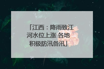 江西：降雨致江河水位上涨 各地积极防汛备汛