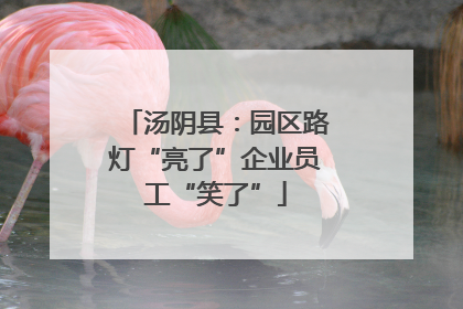 汤阴县：园区路灯“亮了”企业员工“笑了”