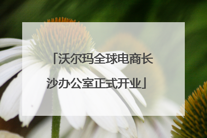 沃尔玛全球电商长沙办公室正式开业