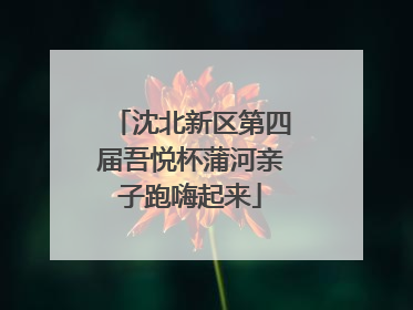 沈北新区第四届吾悦杯蒲河亲子跑嗨起来