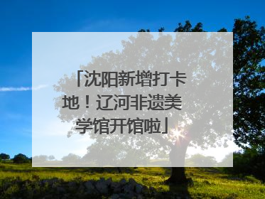 沈阳新增打卡地！辽河非遗美学馆开馆啦