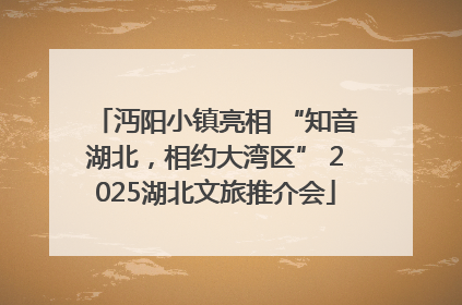 沔阳小镇亮相 “知音湖北，相约大湾区” 2025湖北文旅推介会