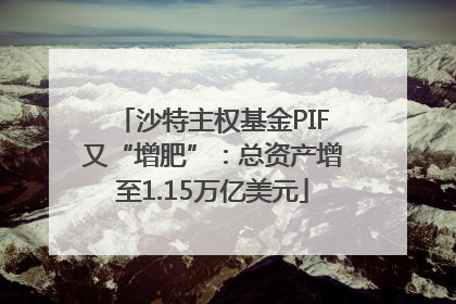 沙特主权基金PIF又“增肥”：总资产增至1.15万亿美元