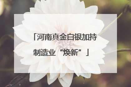 河南真金白银加持制造业“焕新”