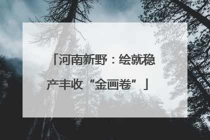 河南新野：绘就稳产丰收“金画卷”