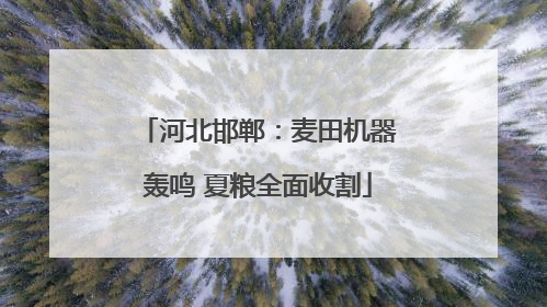 河北邯郸：麦田机器轰鸣 夏粮全面收割
