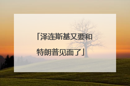 泽连斯基又要和特朗普见面了