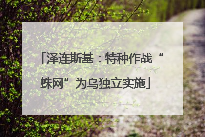 泽连斯基：特种作战“蛛网”为乌独立实施