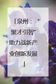 泉州：“聚才引智”助力战新产业创新发展