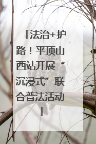 法治+护路！平顶山西站开展“沉浸式”联合普法活动