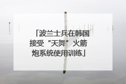 波兰士兵在韩国接受“天舞”火箭炮系统使用训练