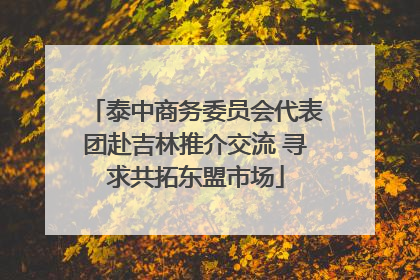 泰中商务委员会代表团赴吉林推介交流 寻求共拓东盟市场