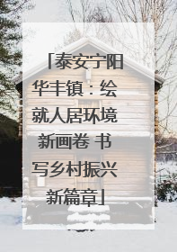 泰安宁阳华丰镇：绘就人居环境新画卷 书写乡村振兴新篇章