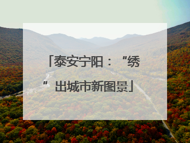 泰安宁阳：“绣”出城市新图景