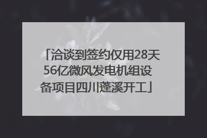 洽谈到签约仅用28天 56亿微风发电机组设备项目四川蓬溪开工