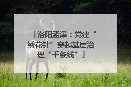 洛阳孟津：党建“绣花针”穿起基层治理“千条线”