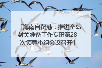 海南自贸港：推进全岛封关准备工作专班第28次领导小组会议召开