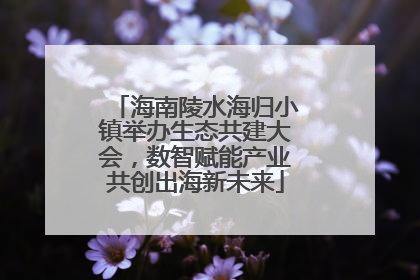 海南陵水海归小镇举办生态共建大会，数智赋能产业共创出海新未来