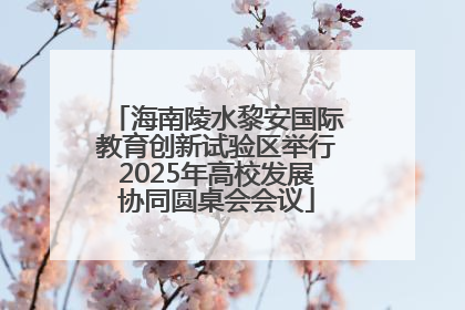 海南陵水黎安国际教育创新试验区举行2025年高校发展协同圆桌会会议