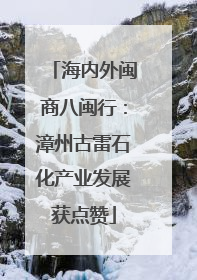 海内外闽商八闽行：漳州古雷石化产业发展获点赞