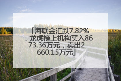 海联金汇跌7.82%，龙虎榜上机构买入8673.36万元，卖出2660.15万元
