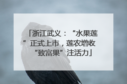 浙江武义：“水果莲”正式上市，莲农增收“致富果”注活力