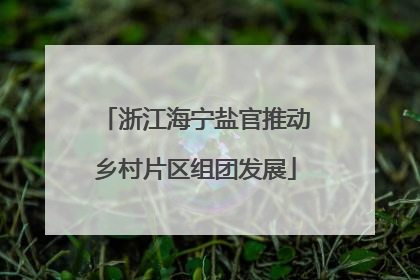浙江海宁盐官推动乡村片区组团发展