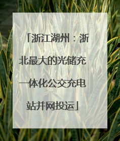 浙江湖州：浙北最大的光储充一体化公交充电站并网投运