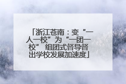浙江苍南：变“一人一校”为“一团一校” 组团式督导督出学校发展加速度
